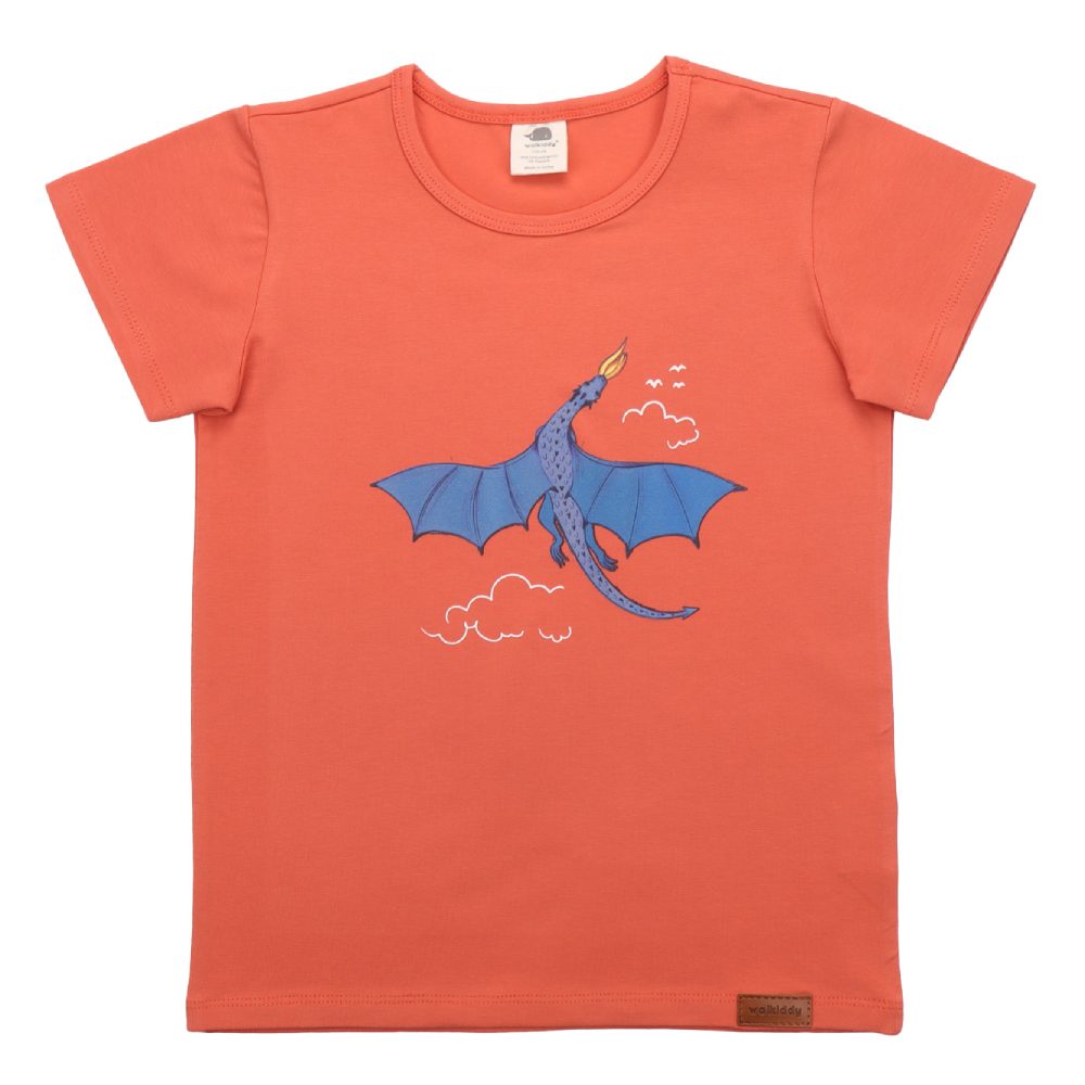 T-Shirt Druck Colorful Dragons