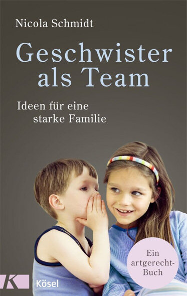 Buch: Geschwister als Team von Nicola Schmidt