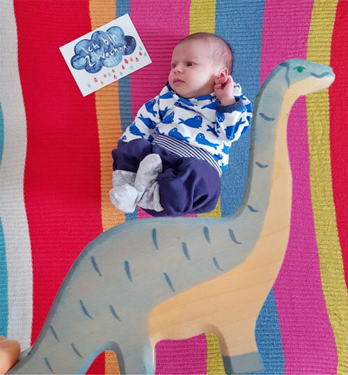 Flatlay mit Baby als optischer Trick: Baby reitet auf einem Holzdino von Holztiger