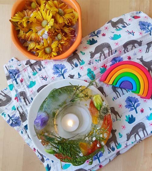 Blumen einfrieren