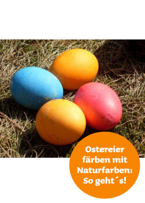 Ostereier färben mit Naturfarben - so geht es - DIY: Natürlich Ostereier färben