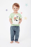 Milestone Junior Cards