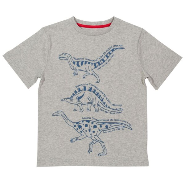T-Shirt Dinoarten grau
