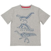 T-Shirt Dinoarten grau