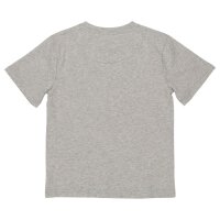 T-Shirt Dinoarten grau