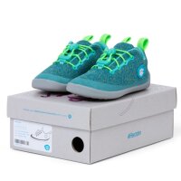 Minimalschuh Daniel Dinosaurier