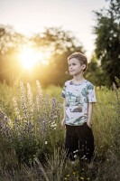 T-Shirt Wal &amp; Affe