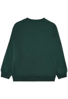 Sweatpullover Hagen green  - 170/176
