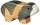 Holztiger Meerschweinchen