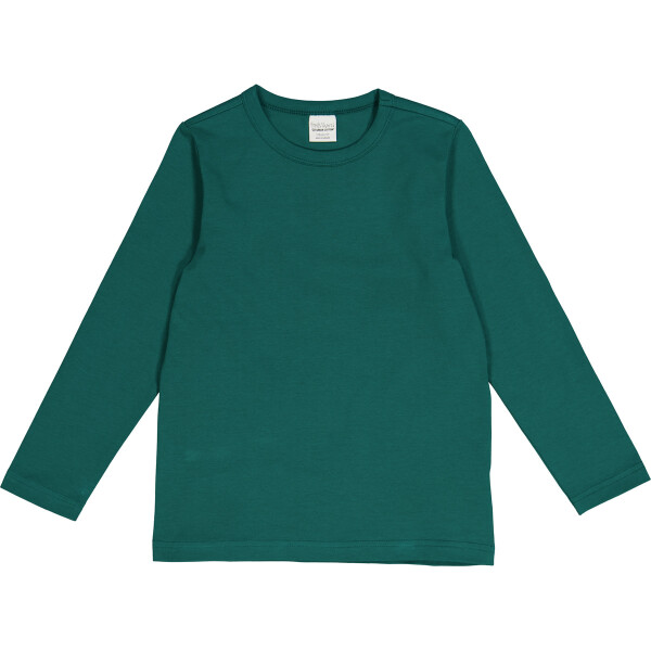 Alfa Shirt lang cucumber - 104