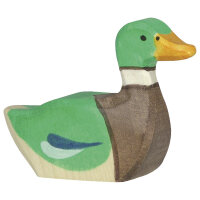 Holztiger Erpel schwimmend