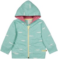 Kapuzenjacke Krokodile mint und Streifen