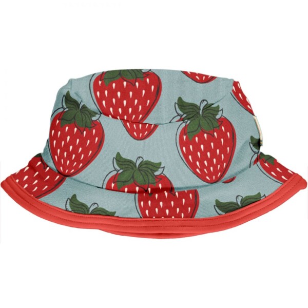 Sonnenhut Erdbeeren hellblau