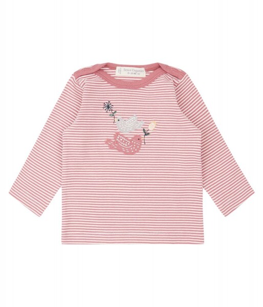 Luna Shirt langarm Vögel Ringel rose