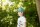 Cap green slate UV80