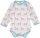 Body lang Zebras aster - 74/80
