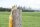 18 Sticks Regenbogen