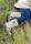 Gummistiefel 3D Panda - 21