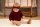 Strickjacke Wellenmuster beere - 92