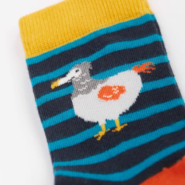 Rock my Socks 3er Pack Dino Multipack - 23-26