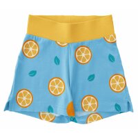 Shorts Muster II