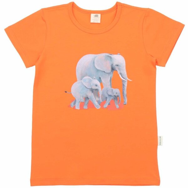 T-Shirt Druck