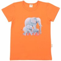 T-Shirt Druck