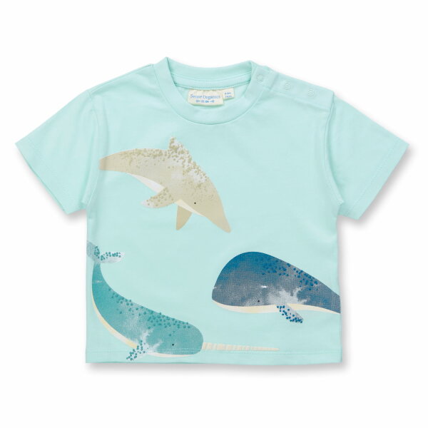 Anton T-Shirt Whales - 74