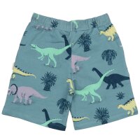 Shorts Dinosaurs - 104