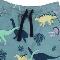 Shorts Dinosaurs - 110