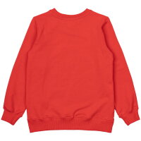 Pullover Ness