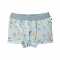 Boxershorts Surfing salbei -  98