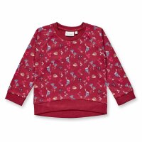 Dena Sweatshirt Print