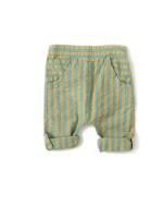 Krempelhose Garden Green Stripe