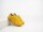 Step Up Seedling Sneaker vegan Turmeric