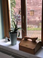 Schuhputzkiste aus ge&ouml;ltem Buchenholz