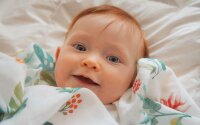 Swaddle Musselin-Tuch 120x120 Botanik