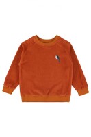 Joe Pullover Vogel Velour rust