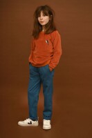 Joe Pullover Vogel Velour rust
