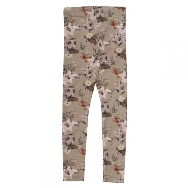 Leggings Pimpinella seed