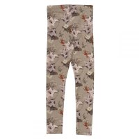 Leggings Pimpinella seed