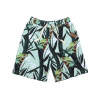 Shorts Frösche