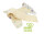 AIO Organic Druckis Kleiner Ritter