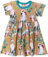 Kleid Papageien