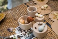 Set Wild 12 Tiere
