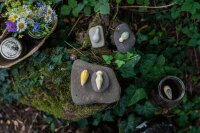 Set Wild 12 Tiere