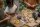 Set Wild 12 Tiere
