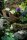 Set Wild 12 Tiere