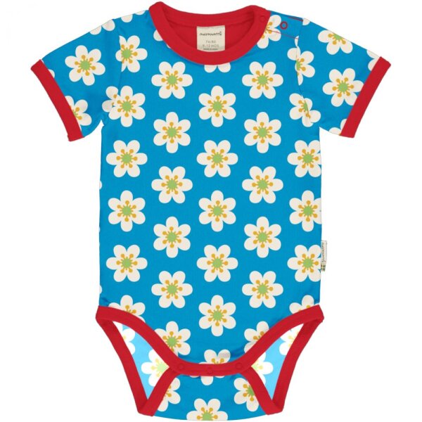 Body kurz Anemone