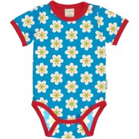 Body kurz Anemone